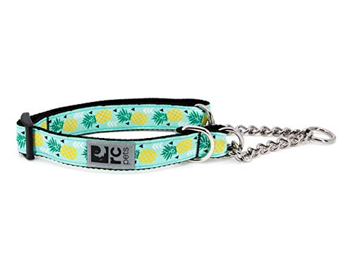 RC Pet Products Training Martingale Hundehalsband, Ananas Parade von RC Pet Products