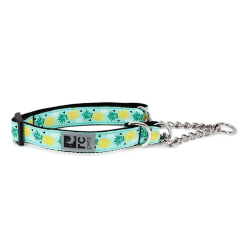 RC Pet Products Training Martingale Dog Collar, Large, Pineapple Parade von RC Pet Products