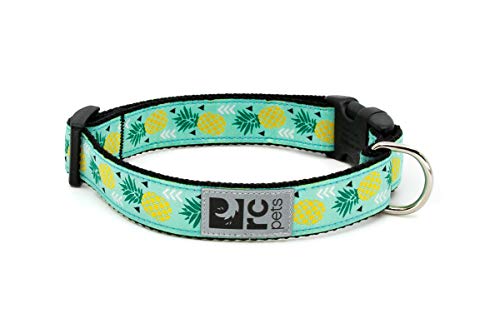 RC Pet Products verstellbar Hund Clip Halsband, Ananas Parade von RC Pet Products
