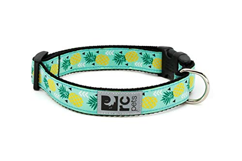 RC Pet Products verstellbar Hund Clip Halsband, Ananas Parade RC Pet Products verstellbar Hund Clip Halsband, Ananas Parade von RC Pet Products