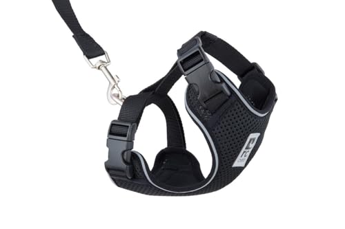 RC Pets Adventure Kitty Geschirr mit verstellbarem Airmesh-Gewebe, 1,8 m Leine und D-Ring, Katzengeschirr, Schwarz, Größe M RC Pets Adventure Kitty Geschirr mit verstellbarem Airmesh-Gewebe, 1,8 m Leine und D-Ring, Katzengeschirr, Schwarz, Größe M von RC Pet Products