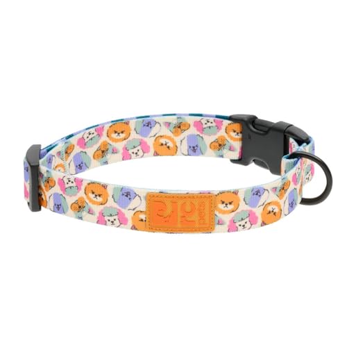 RC Pets Eco Clip-Halsband, verstellbar, langlebig, umweltfreundlich, groß, 2,5 cm, Welpe von RC Pet Products