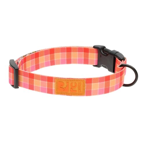 RC Pets Eco Halsband mit Clip, verstellbar, langlebig, umweltfreundlich, Größe M, 2,5 cm, mit schönem Gingham von RC Pet Products
