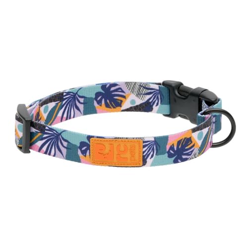 RC Pets Eco Halsband mit Clip, verstellbar, langlebig, umweltfreundlich, groß, 2,5 cm, Mystic Monstera RC Pets Eco Halsband mit Clip, verstellbar, langlebig, umweltfreundlich, groß, 2,5 cm, Mystic Monstera von RC Pet Products