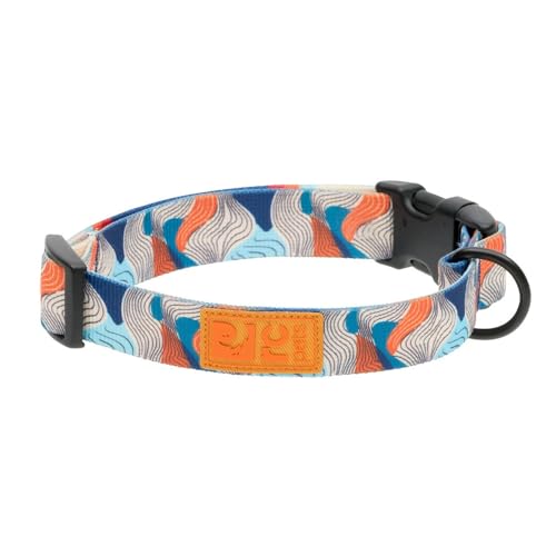 RC Pets Eco Halsband mit Clip, verstellbar, langlebig, umweltfreundlich, groß, 2,5 cm, Riptide von RC Pet Products