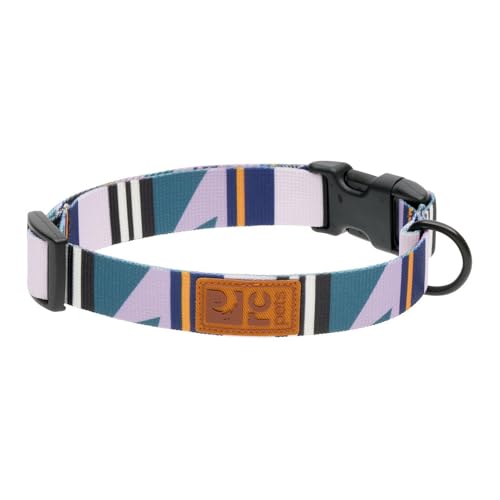 RC Pets Eco Halsband mit Clip, verstellbar, langlebig, umweltfreundlich, groß, 2,5 cm, lila Rand von RC Pet Products