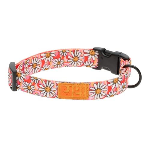 RC Pets Eco Halsband mit Clip, verstellbar, langlebig, umweltfreundlich, klein, 1,9 cm, Gänseblümchen Freude RC Pets Eco Halsband mit Clip, verstellbar, langlebig, umweltfreundlich, klein, 1,9 cm, Gänseblümchen Freude von RC Pet Products