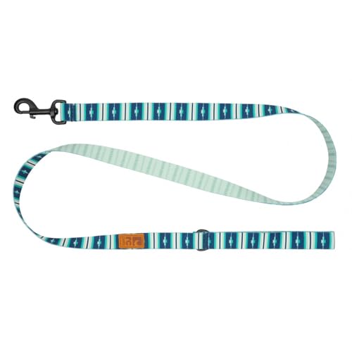 RC Pets Eco Leash | 1,5 m lange Hundeleine mit robustem Griff, 1,9 cm breites Öko-Gurtband, Surfside RC Pets Eco Leash | 1,5 m lange Hundeleine mit robustem Griff, 1,9 cm breites Öko-Gurtband, Surfside von RC Pet Products