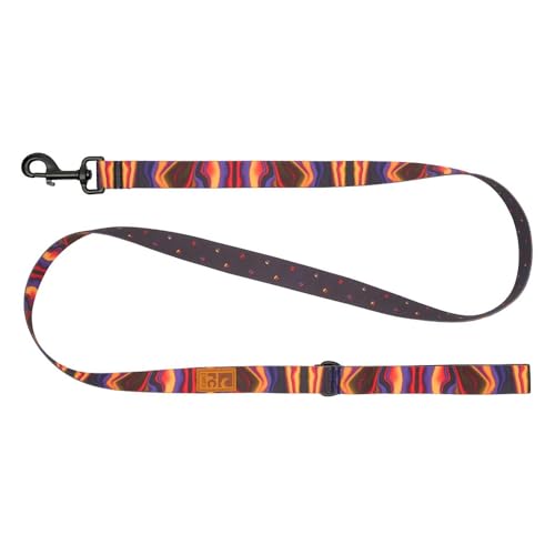 RC Pets Eco Leash | 1,5 m lange Hundeleine mit robustem Griff, 1,9 cm breites Öko-Gurtband | Daisy Joy von RC Pet Products