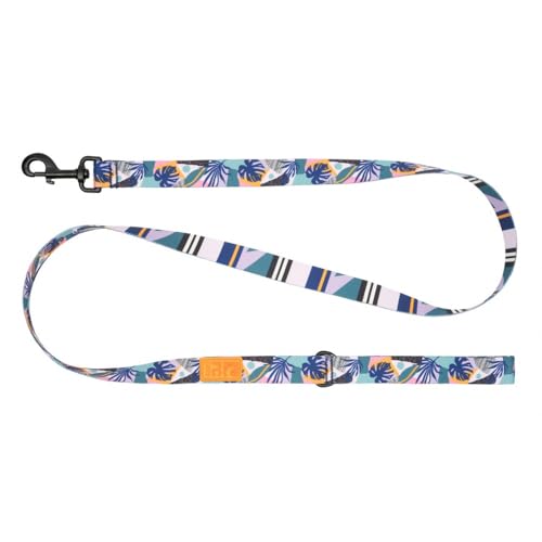 RC Pets Eco Leash | 1,5 m lange Hundeleine mit robustem Griff, 1,9 cm breites Öko-Gurtband | Mystic Monstera RC Pets Eco Leash | 1,5 m lange Hundeleine mit robustem Griff, 1,9 cm breites Öko-Gurtband | Mystic Monstera von RC Pet Products