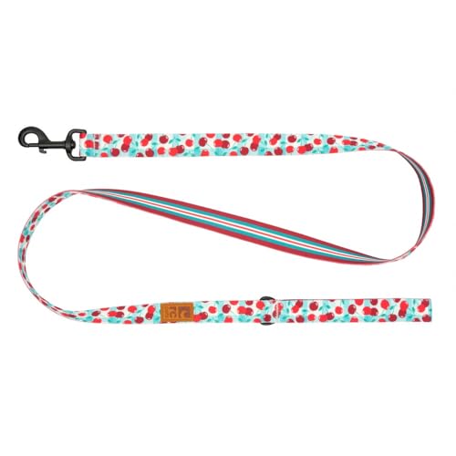 RC Pets Eco Leash | 1,5 m lange Hundeleine mit robustem Griff, 2,5 cm breites Öko-Gurtband, Kirsch-Picknick von RC Pet Products