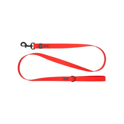 RC Pets Flexible, langlebige, leichte, wasserdichte Leine, 2,5 cm x 1,5 m, Rot RC Pets Flexible, langlebige, leichte, wasserdichte Leine, 2,5 cm x 1,5 m, Rot von RC Pet Products