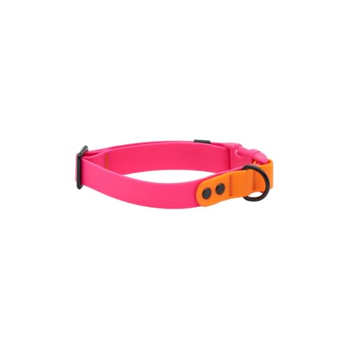 RC Pets Halsband, langlebig, geruchsabweisend, leicht zu reinigen, wasserdicht, Azaleen-Orange, Größe L RC Pets Halsband, langlebig, geruchsabweisend, leicht zu reinigen, wasserdicht, Azaleen-Orange, Größe L von RC Pet Products