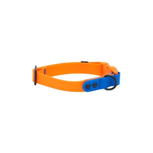 RC Pets Halsband, langlebig, geruchsabweisend, leicht zu reinigen, wasserdicht, Orange-Saphir, Größe M RC Pets Halsband, langlebig, geruchsabweisend, leicht zu reinigen, wasserdicht, Orange-Saphir, Größe M von RC Pet Products