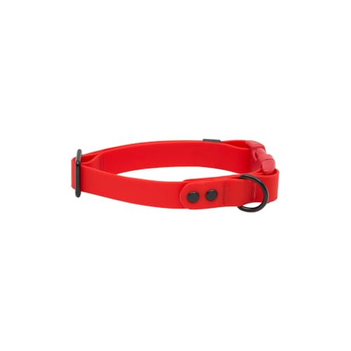 RC Pets Halsband, langlebig, geruchsabweisend, leicht zu reinigen, wasserdicht, Rot, Größe L RC Pets Halsband, langlebig, geruchsabweisend, leicht zu reinigen, wasserdicht, Rot, Größe L von RC Pet Products