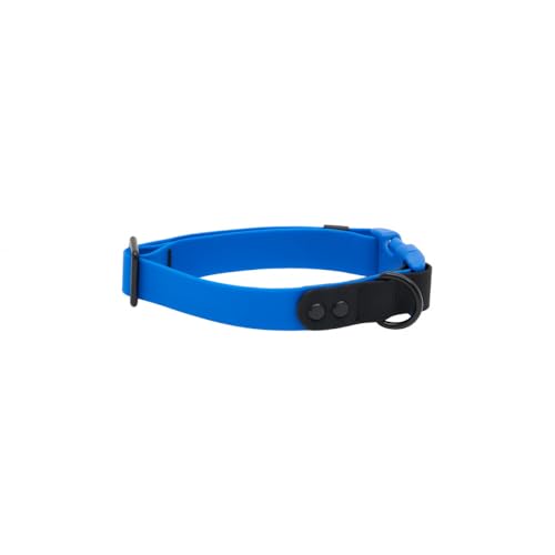 RC Pets Halsband, langlebig, geruchsabweisend, leicht zu reinigen, wasserdicht, Saphirschwarz, Größe M RC Pets Halsband, langlebig, geruchsabweisend, leicht zu reinigen, wasserdicht, Saphirschwarz, Größe M von RC Pet Products