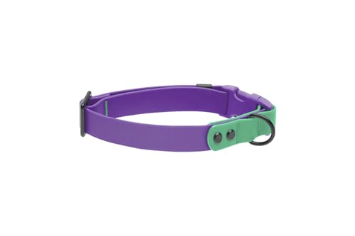 RC Pets Halsband, langlebig, geruchsresistent, leicht zu reinigen, wasserdicht, Violett-Parakeet, Größe L RC Pets Halsband, langlebig, geruchsresistent, leicht zu reinigen, wasserdicht, Violett-Parakeet, Größe L von RC Pet Products