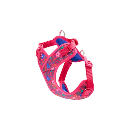 RC Pets Hundegeschirr, bequem, sicher, stilvoll, Petite Explorer, Größe XS, Frida RC Pets Hundegeschirr, bequem, sicher, stilvoll, Petite Explorer, Größe XS, Frida von RC Pet Products