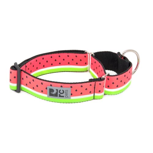 RC Pets Hundehalsband, Martingal-Training, 3,8 cm, Größe M, Wassermelone RC Pets Hundehalsband, Martingal-Training, 3,8 cm, Größe M, Wassermelone von RC Pet Products