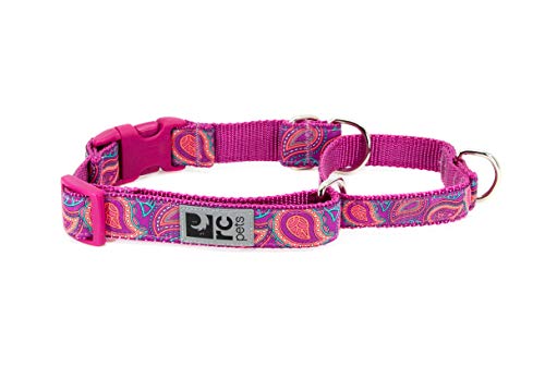 RC Pets Hundehalsband mit Befestigungsclip, 2,5 cm, mittelgroß, helles Paisleymuster von RC Pet Products