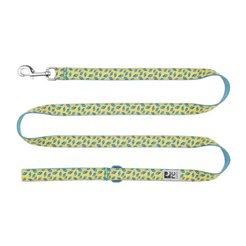 RC Pets Hundeleine, 1,8 m lange Leine mit strapazierfähigem Griff, reflektierendem Etikett und Zubehörring, 1,9 cm breit, weiches Gurtband, Ringelblumenblätter von RC Pet Products