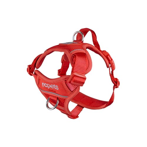RC Pets Momentum Hundegeschirr, groß, Goji-Beere RC Pets Momentum Hundegeschirr, groß, Goji-Beere von RC Pet Products