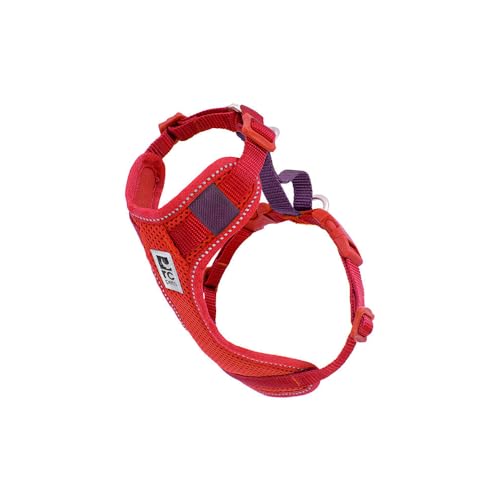 RC Pets Moto Control Hundegeschirr, Goji-Beere/Burgunderrot, Größe XL RC Pets Moto Control Hundegeschirr, Goji-Beere/Burgunderrot, Größe XL von RC Pet Products