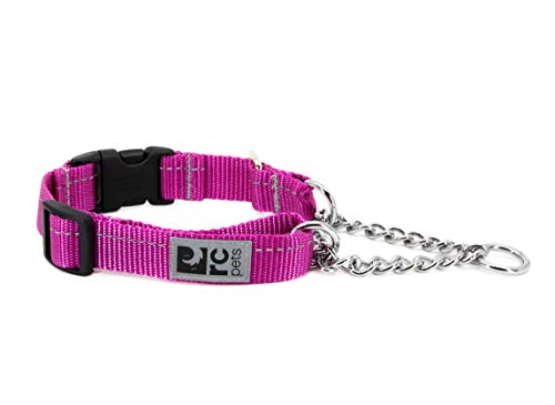 RC Pets Primary Collection Hundehalsband, 2,5 cm, Martingal-Training, groß, Maulbeere von RC Pet Products