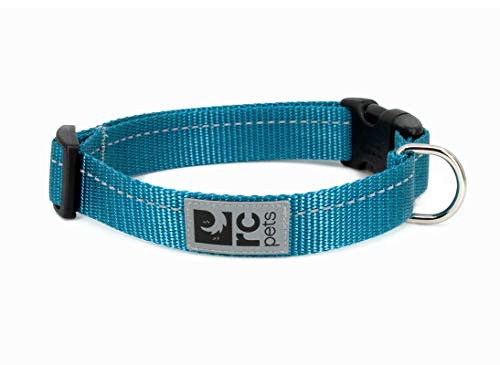 RC Pets Primary Collection Hundehalsband mit Clip, 2,5 cm, Größe M, Dunkelblaugrün von RC Pet Products