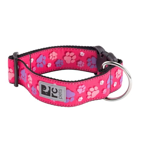 RC Pets Sportliches, lustiges, funktionales Halsband mit breitem Clip, 3,8 cm, Pink (Fresh Tracks Pink), Größe L von RC Pet Products