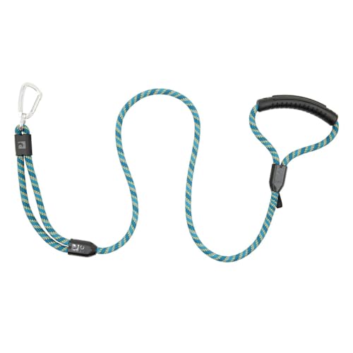 RC Pets strapazierfähige, bequeme, sichere Leine, Premium-Leine, 1,6 x 12,7 cm, dunkles Blaugrün RC Pets strapazierfähige, bequeme, sichere Leine, Premium-Leine, 1,6 x 12,7 cm, dunkles Blaugrün von RC Pet Products