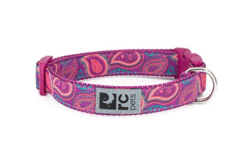 RC Pets verstellbares Hundehalsband, 2,5 cm, mit Clip, mittelgroß, helles Paisleymuster von RC Pet Products
