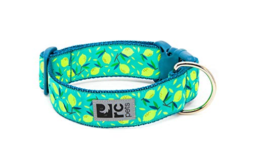 RC Pets verstellbares Hundehalsband, 3,8 cm breit, Größe M, Lemonade von RC Pet Products