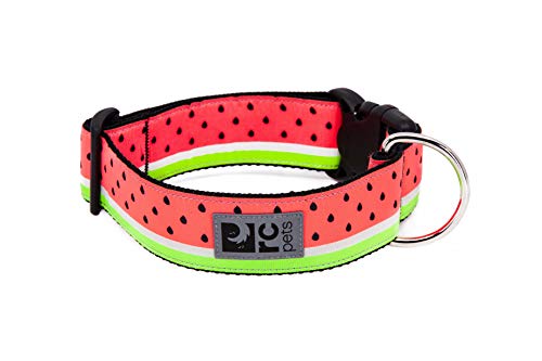 Rc Pets Hundehalsband mit Clip, 3,8 cm breit, Large, Wassermelone von RC Pet Products