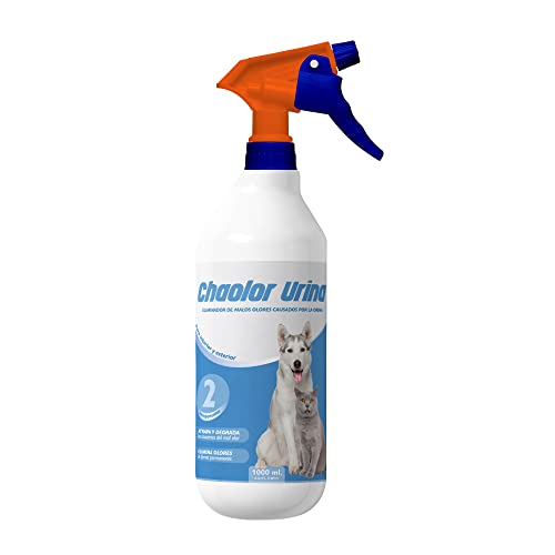 RC ocio Enzymatisches Reinigungsmittel beseitigt Hunde-/Katzenurin | Geruch entferner | Enzyme Spray gegen Hunde-/Katzenurin-Geruch | Geruchsneutralisierer für Stoffe, Möbel, Teppiche, Wände. 5L (1L) von RC ocio