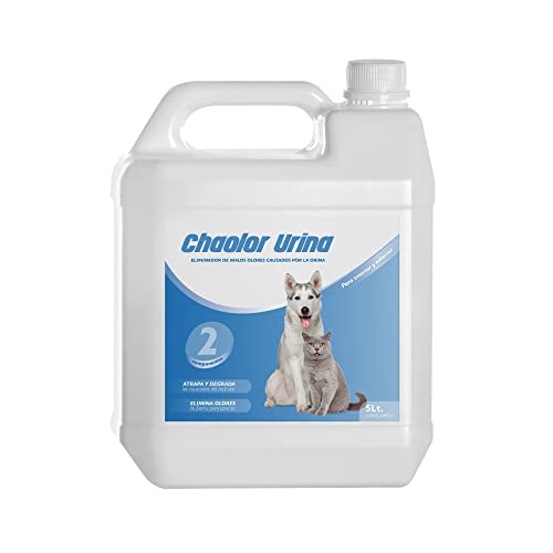 RC ocio Enzymatisches Reinigungsmittel beseitigt Hunde-/Katzenurin | Geruch entferner | Enzyme Spray gegen Hunde-/Katzenurin-Geruch | Geruchsneutralisierer für Stoffe, Möbel, Teppiche, Wände. 5L (5L) von RC ocio