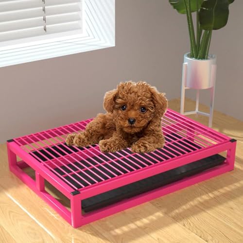 Hundetoiletten-Trainingstablett, für drinnen und draußen, tragbar, stabil, Metall, für Veranda, Badezimmer, Wohnung, Balkon (Größe: 52,1 x 35,1 x 8,9 cm, Farbe: Pink) von RCJCQSR