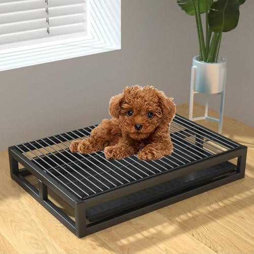 Hundetoiletten-Trainingstablett, für drinnen und draußen, tragbar, stabil, Metall, für Veranda, Badezimmer, Wohnung, Balkon (Größe: 52,1 x 35,1 x 8,9 cm, Farbe: Schwarz) von RCJCQSR