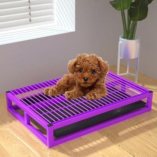 Hundetoiletten-Trainingstablett, für drinnen und draußen, tragbar, stabil, Metall, für Veranda, Badezimmer, Wohnung, Balkon (Größe: 52,1 x 35,1 x 8,9 cm, Farbe: Violett) von RCJCQSR