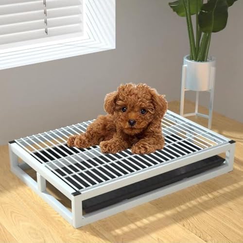 Hundetoiletten-Trainingstablett, für drinnen und draußen, tragbar, stabil, Metall, für Veranda, Badezimmer, Wohnung, Balkon (Größe: 52,1 x 35,1 x 8,9 cm, Farbe: Weiß) von RCJCQSR