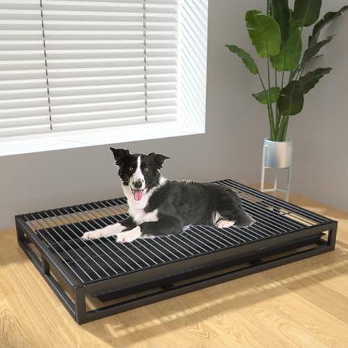 Hundetoiletten-Trainingstablett, für drinnen und draußen, tragbar, stabil, Metall, für Veranda, Badezimmer, Wohnung, Balkon (Größe: 61 x 45 x 8,9 cm, Farbe: Schwarz) von RCJCQSR