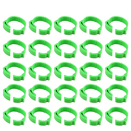 Beinringe zum Anklippen, Durchmesser 20 mm, Nummer 001–100, für Tauben, Küken, Hühner, Papageien, Vögel, Identifikation, 100 Stück Beinringe zum Anklippen, Durchmesser 20 mm, Nummer 001–100, für Tauben, Küken, Hühner, Papageien, Vögel, Identifikation, 100 Stück von RDAHSUEHH