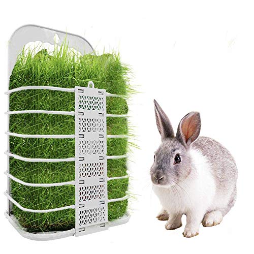 Kaninchen-Heu-Futterstation, faltbar, hängend, für Kaninchen, Meerschweinchen, Chinchilla, Kleintiere von RDAHSUEHH