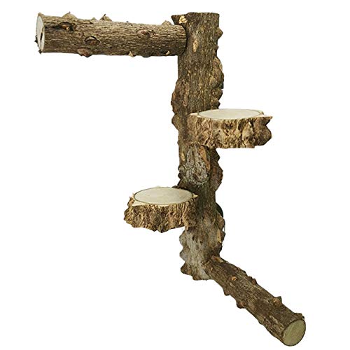 REACHYEA Vogel-Sitzstange / Ständer für Papageien, aus natürlichem Holz, zum Klettern, für Papageien, Sittiche von REACHYEA