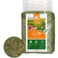 REAL NATURE Grüne Natur mit Paprika und Möhren 750g REAL NATURE Grüne Natur mit Paprika und Möhren 750g von REAL NATURE