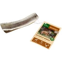 REAL NATURE WILDERNESS Rothirsch Geweih-Snack halb M von REAL NATURE