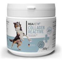 REAVET Collagen Reactive 250g von REAVET