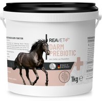 REAVET Darm Prebiotic 1 kg REAVET Darm Prebiotic 1 kg von REAVET