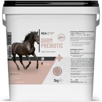 REAVET Darm Prebiotic 3 kg von REAVET