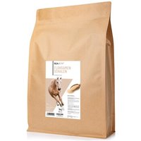REAVET Flohsamenschalen für Pferde 3kg REAVET Flohsamenschalen für Pferde 3kg von REAVET